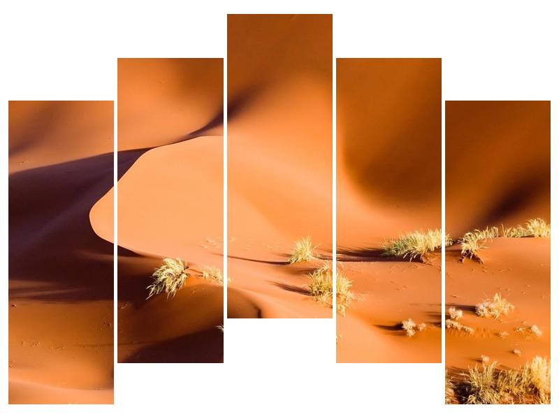 Obraz pouště (F000587F12590)