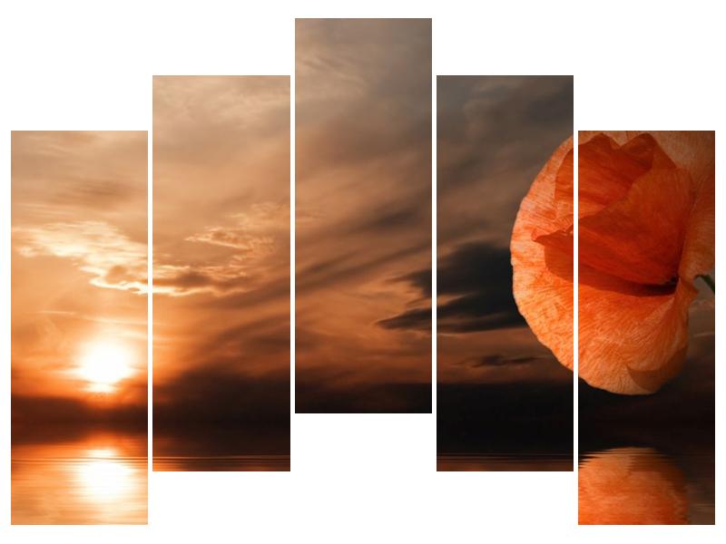 Obraz západu slunce (F000604F12590)