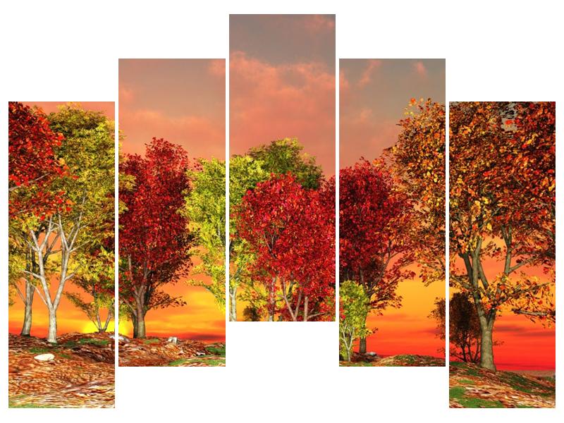 Obraz barevných stromů (F002283F12590)