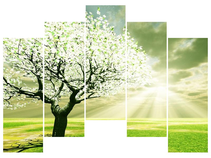 Obraz stromu na jaře (F002291F12590)