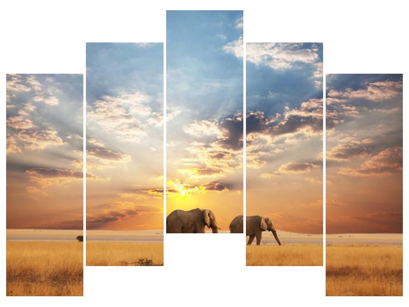 Obraz slonů putujících svanou  (F002703F12590)