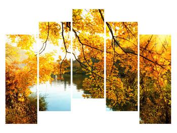 Jesenný obraz stromu