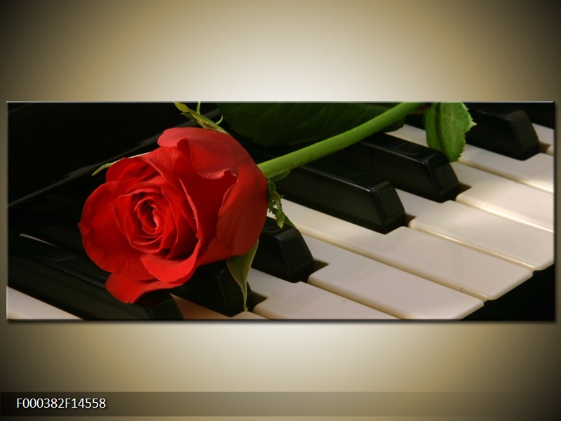 Obraz klavíru a růže (F000382F14558)