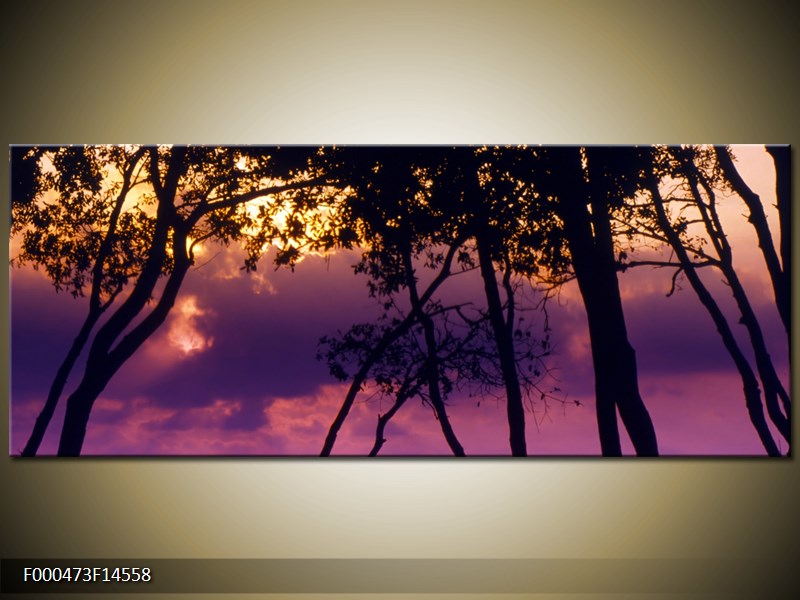 Obraz stromů při západu slunce (F000473F14558)
