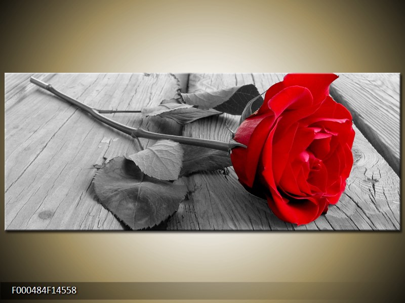 Obraz růže (F000484F14558)