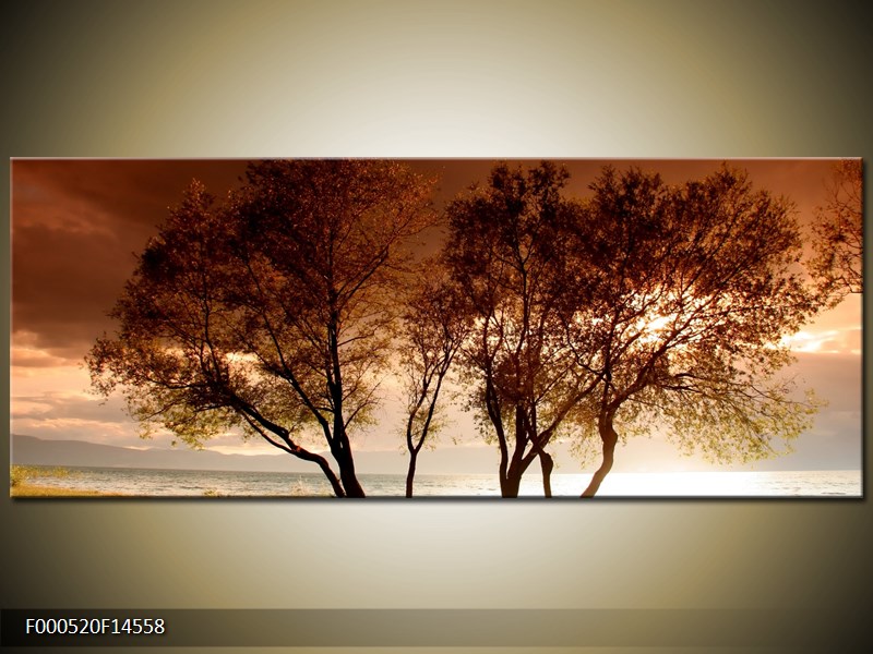 Obraz stromů (F000520F14558)