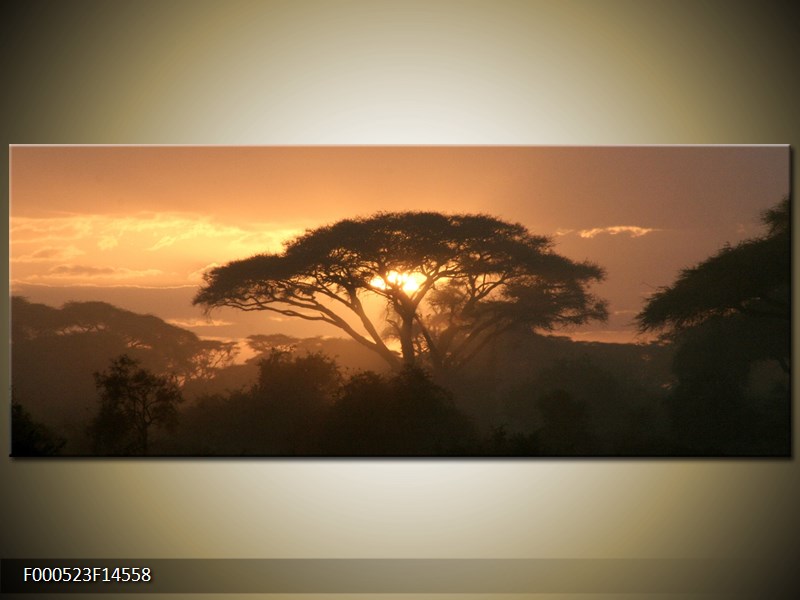 Obraz stromu a západu slunce (F000523F14558)