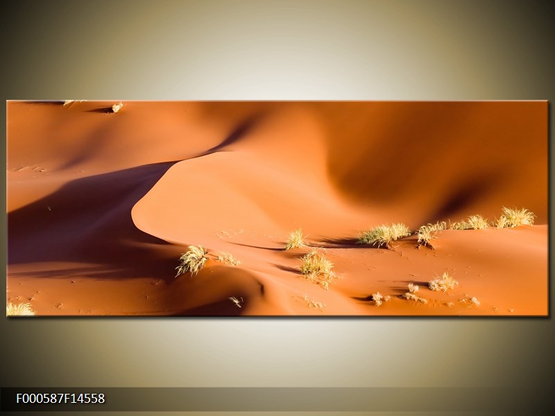Obraz pouště (F000587F14558)