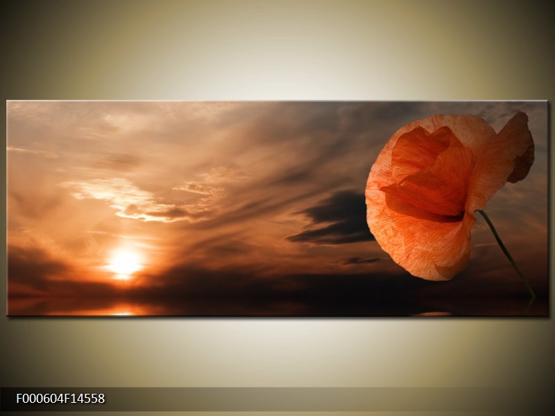 Obraz západu slunce (F000604F14558)