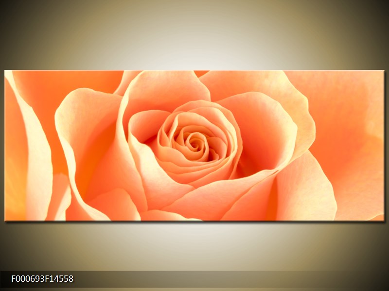 Obraz růže (F000693F14558)
