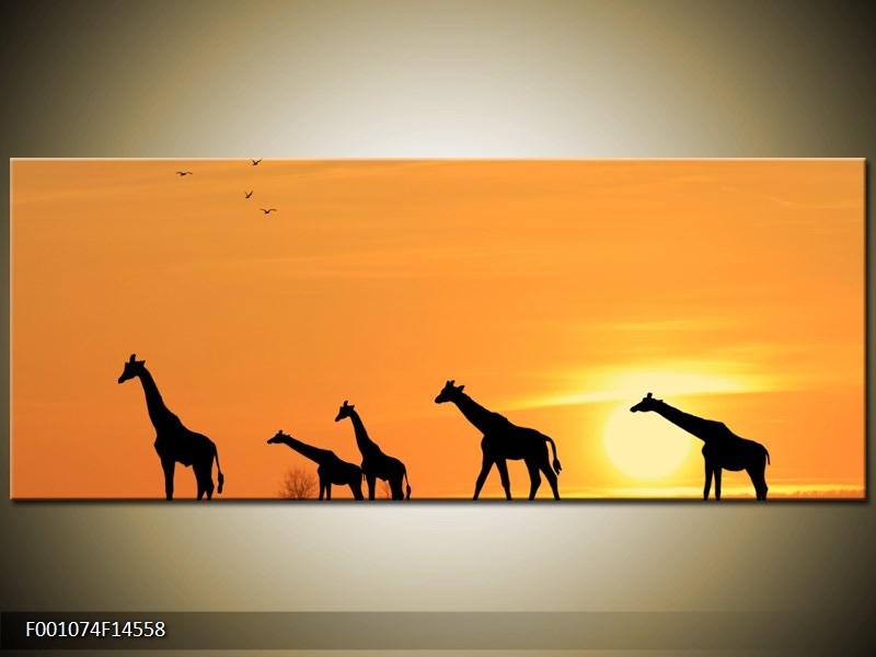 Obraz žiraf v západu slunce (F001074F14558)
