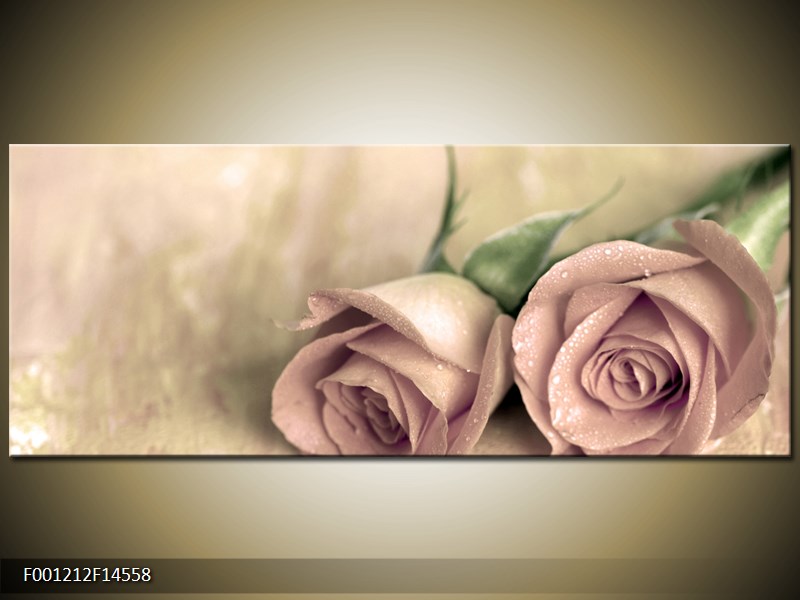 Obraz jemných růží (F001212F14558)