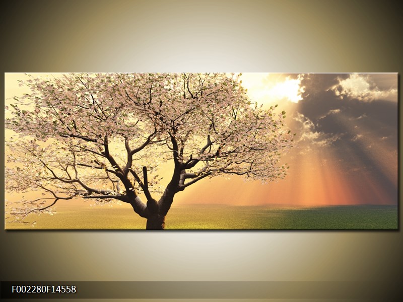 Obraz kvetoucího stromu (F002280F14558)