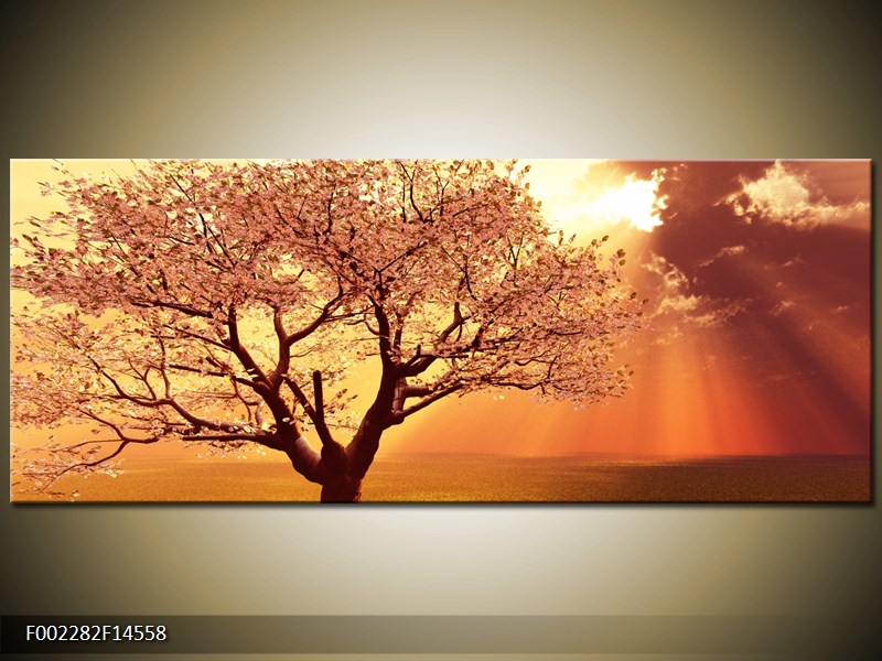 Obraz rozkvetlého stromu (F002282F14558)