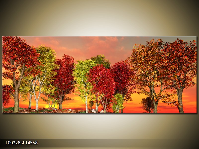Obraz barevných stromů (F002283F14558)