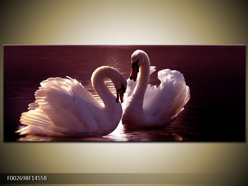 Obraz labutí na jezeře  (F002698F14558)