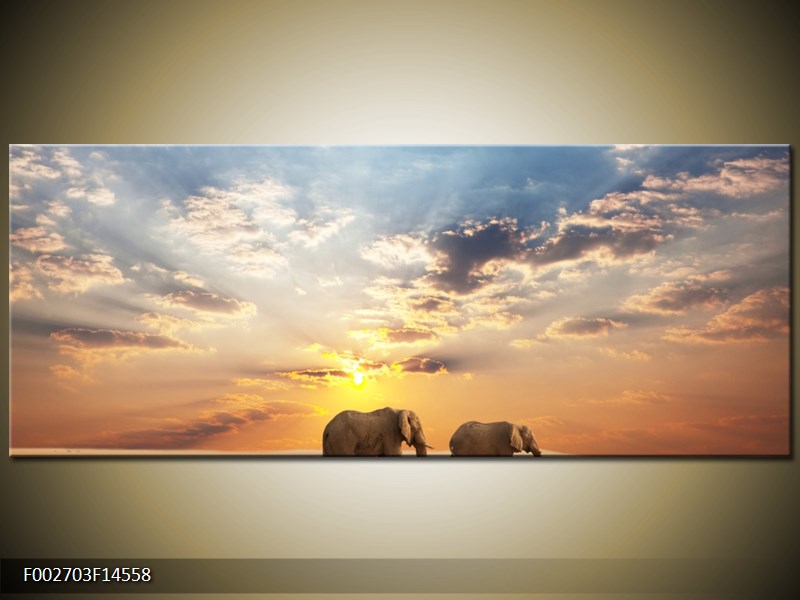 Obraz slonů putujících svanou  (F002703F14558)