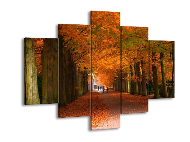 Krásný obraz aleje stromů na podzim (F000014F150105)