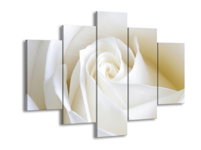 Obraz bílé růže (F000471F150105)