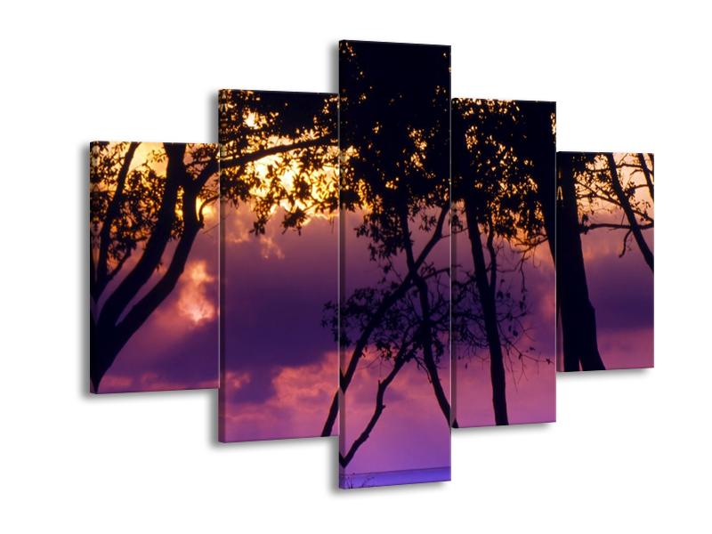 Obraz stromů při západu slunce (F000473F150105)