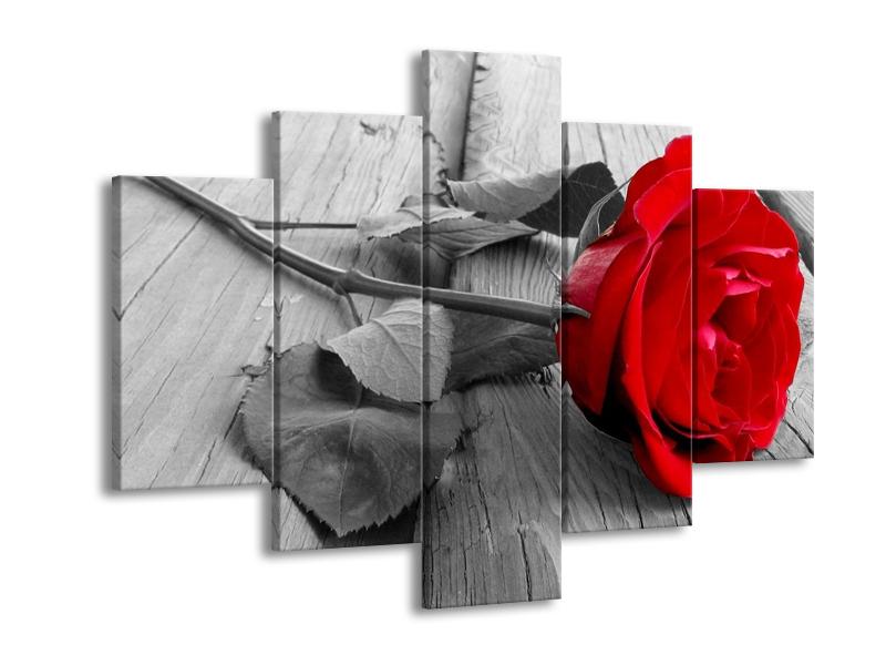 Obraz růže (F000484F150105)