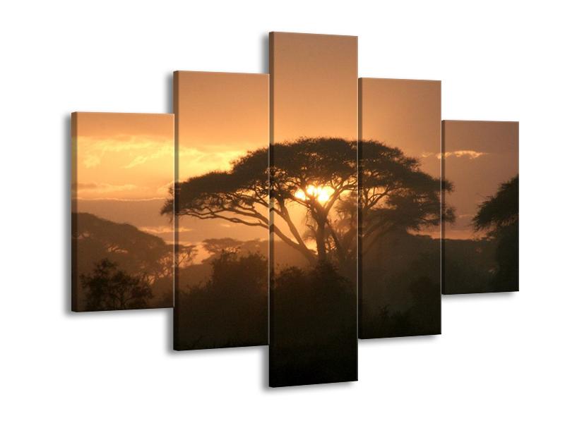 Obraz stromu a západu slunce (F000523F150105)