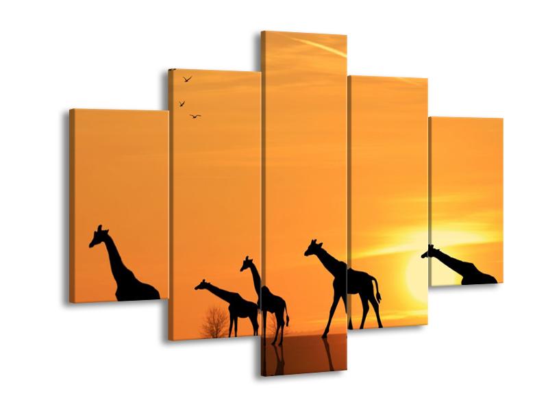 Obraz žiraf v západu slunce (F001074F150105)