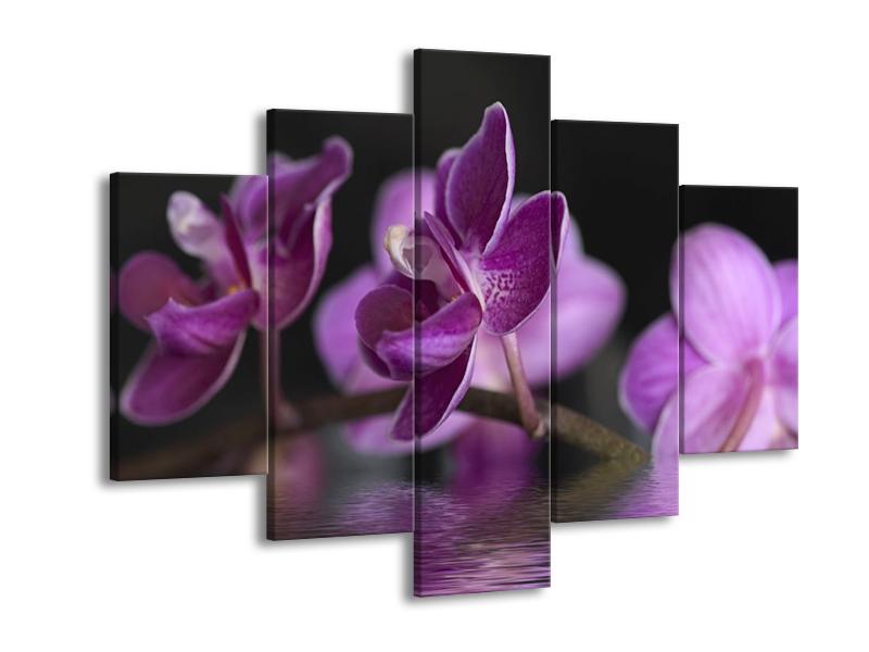 Obraz fialové květiny na hladině (F001231F150105)