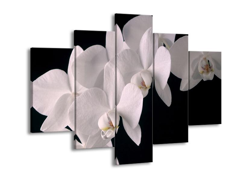Obraz bílých magnolií (F001513F150105)