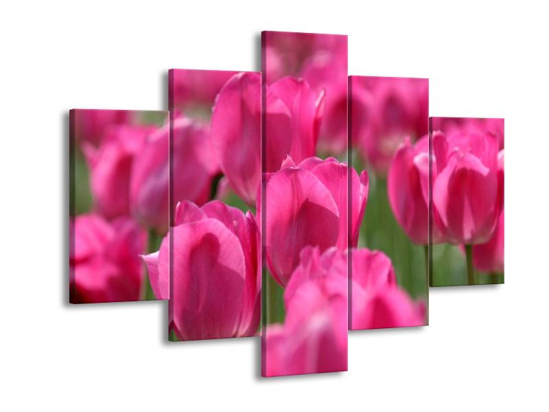 Obraz růžových tulipánů  (F002627F150105)