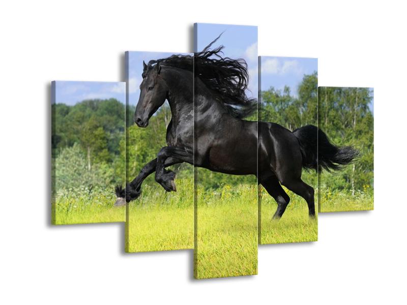 Obraz koně s rozevlátou hřívou  (F002685F150105)