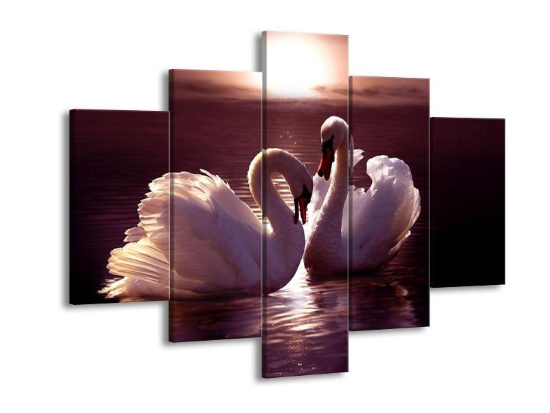 Obraz labutí na jezeře  (F002698F150105)