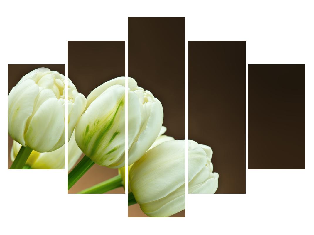 Slika tulipana