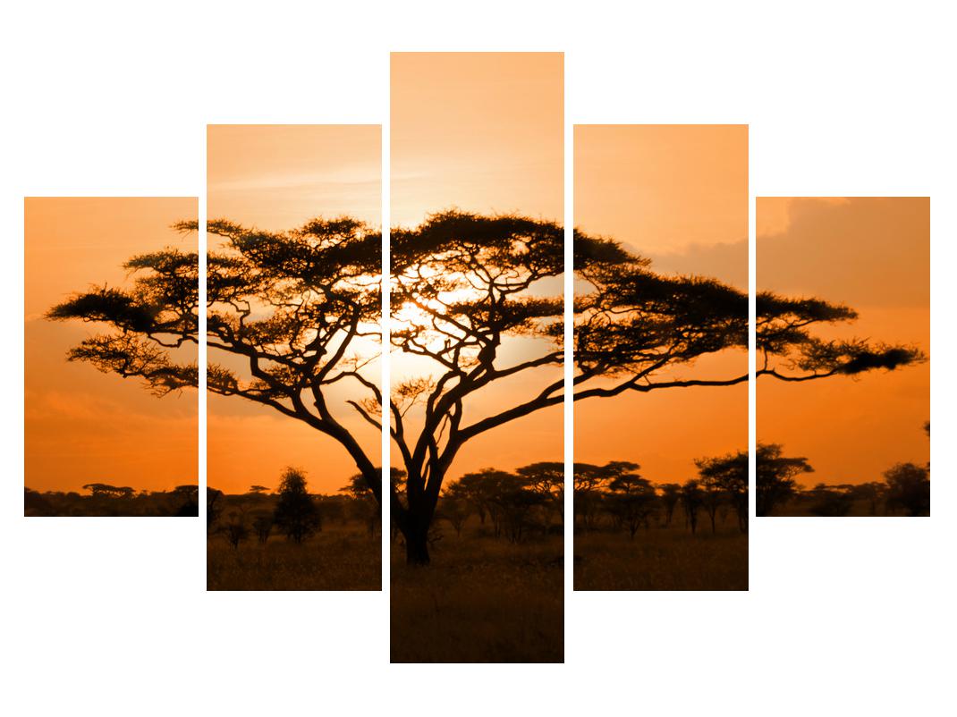 Slika afričke savane