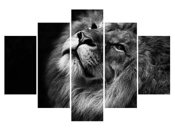 Čiernobiely obraz leva (K012767K150105)