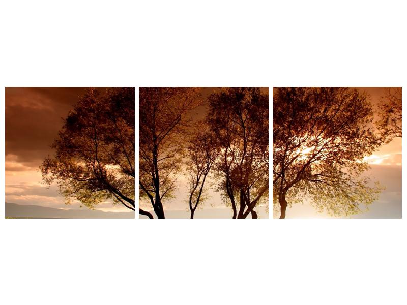 Obraz stromů (F000520F15050)