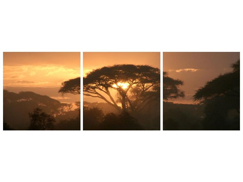 Obraz stromu a západu slunce (F000523F15050)