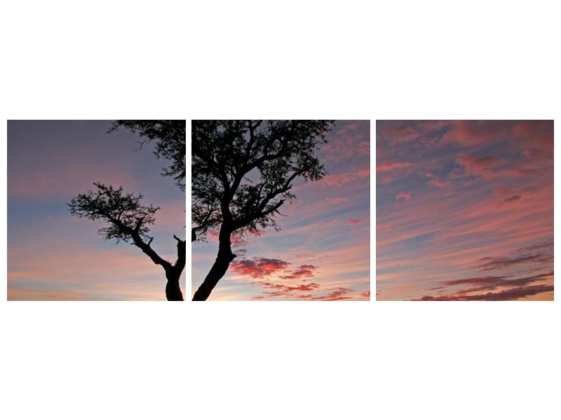 Obraz stromu a červánků (F000530F15050)