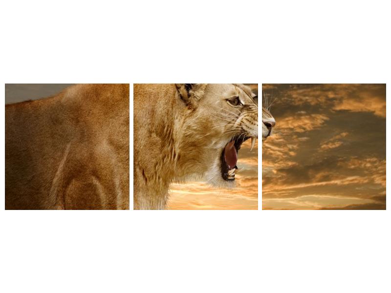 Obraz řvoucí lvice  (F001634F15050)