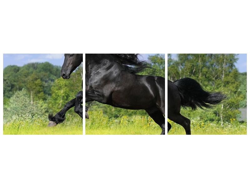 Obraz koně s rozevlátou hřívou  (F002685F15050)