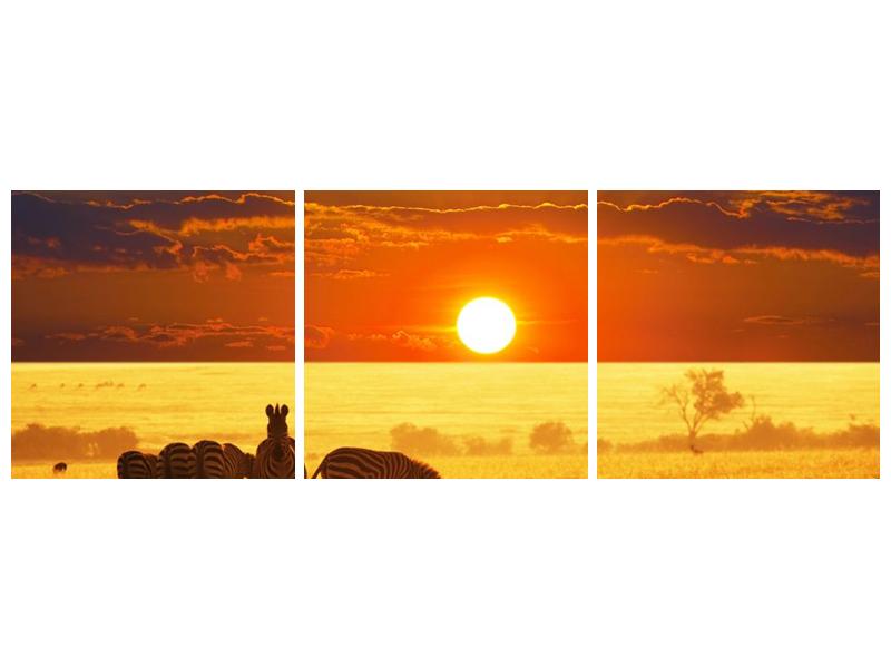 Obraz zeber se západem slunce  (F002898F15050)
