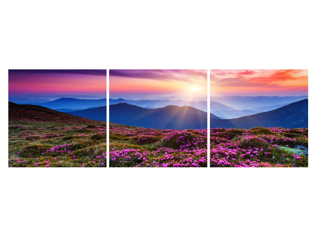 Slika gorske cvetoče pokrajine (K011322K15050)