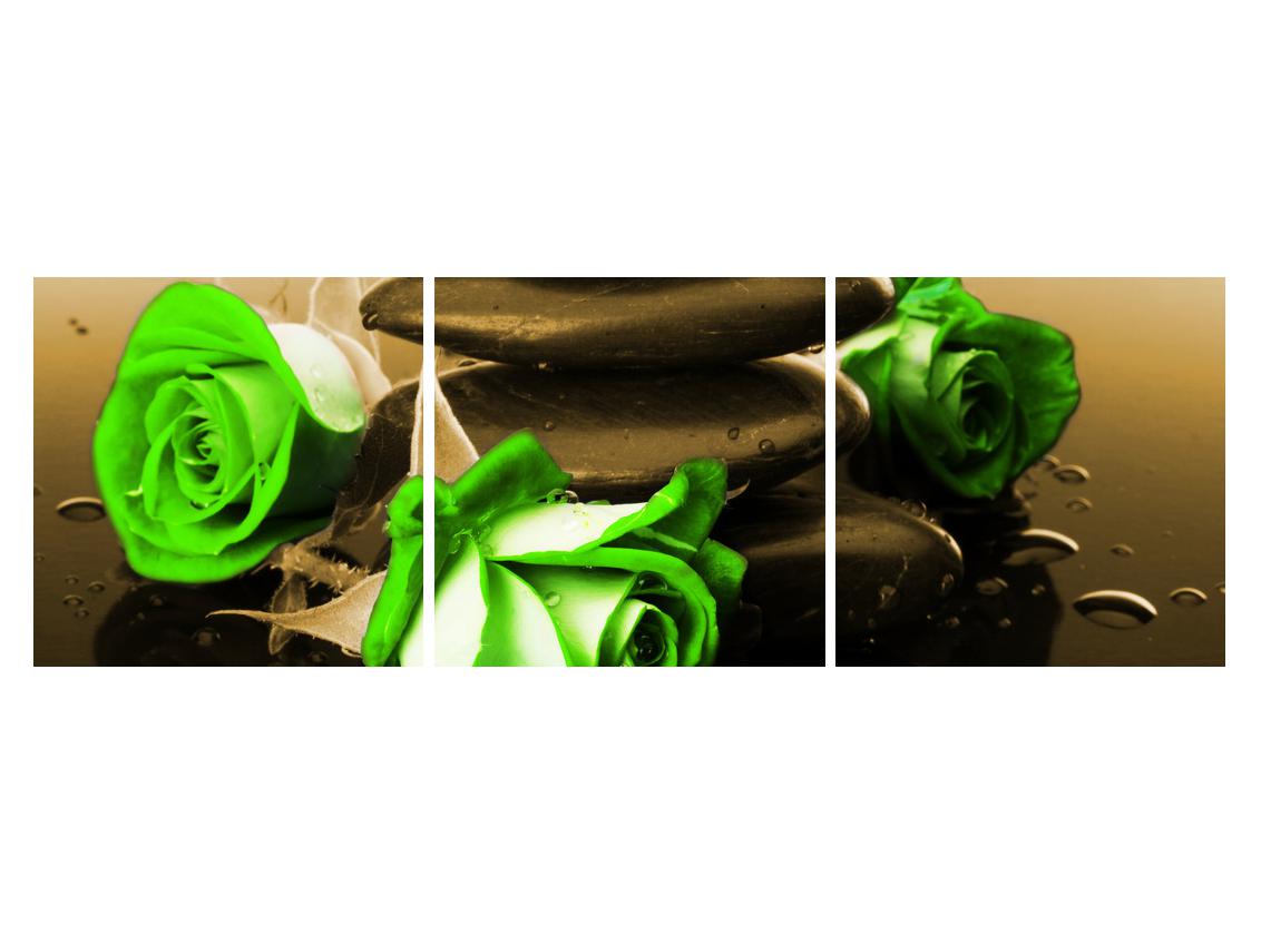 Tablou cu trandafirii verzi (K011423K15050)