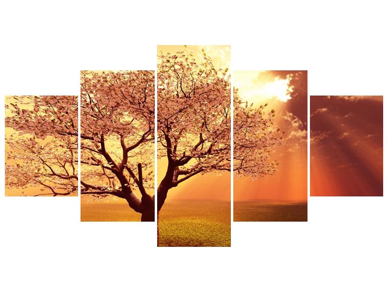 Obraz rozkvetlého stromu (F002282F150805PCS)