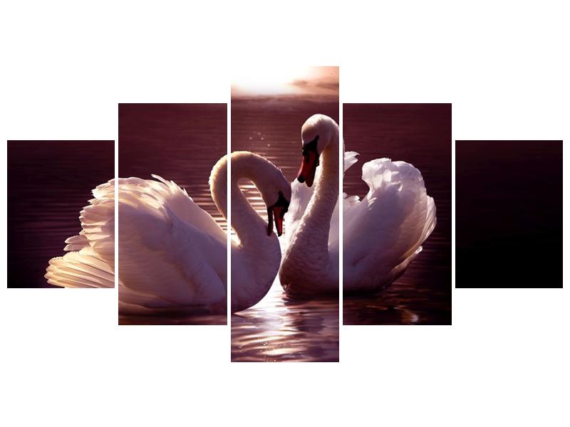 Obraz labutí na jezeře  (F002698F150805PCS)