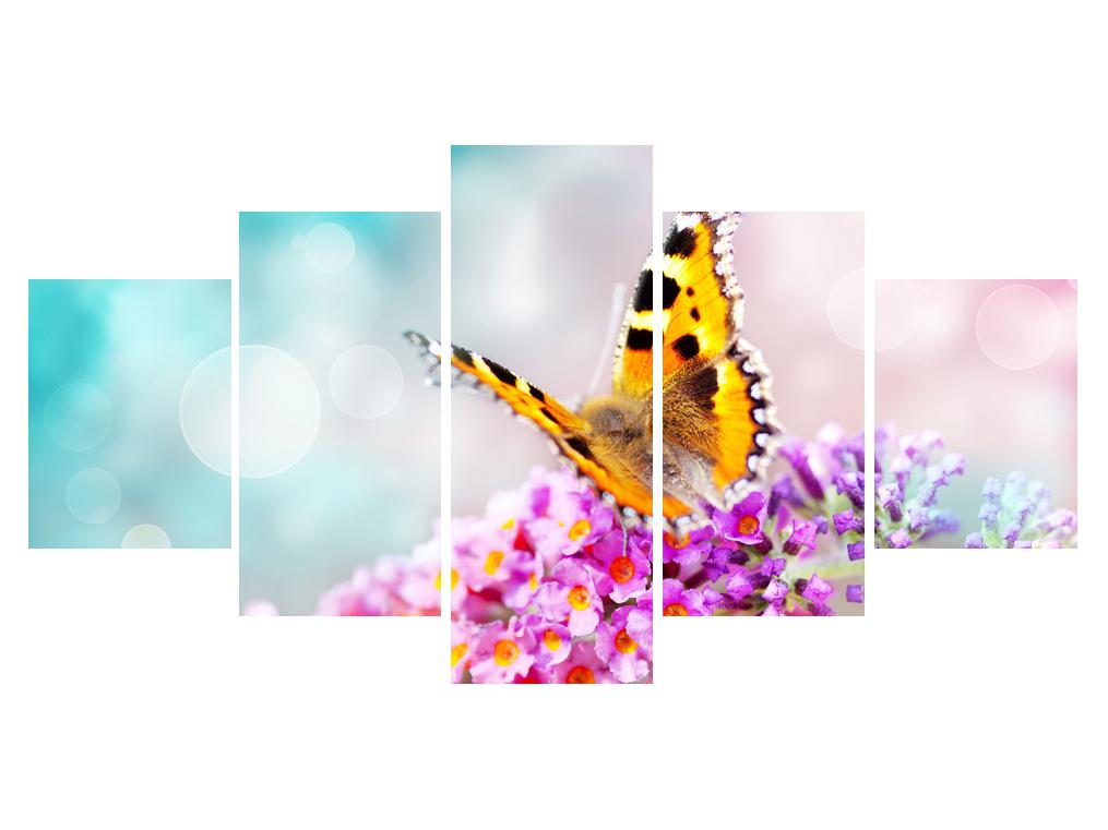 Slika leptira na cvijetovima