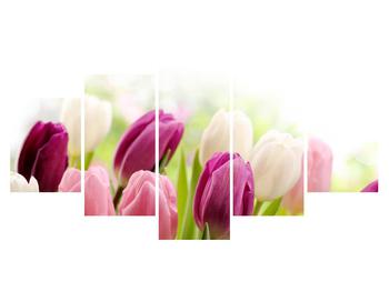 Obraz pučících tulipánů