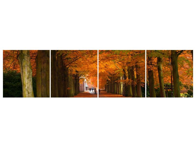 Krásný obraz aleje stromů na podzim (F000014F16040)