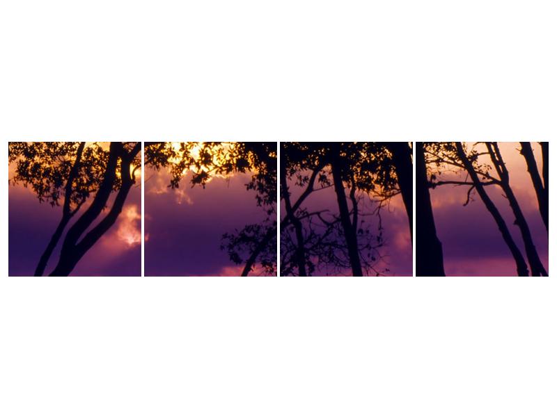 Obraz stromů při západu slunce (F000473F16040)