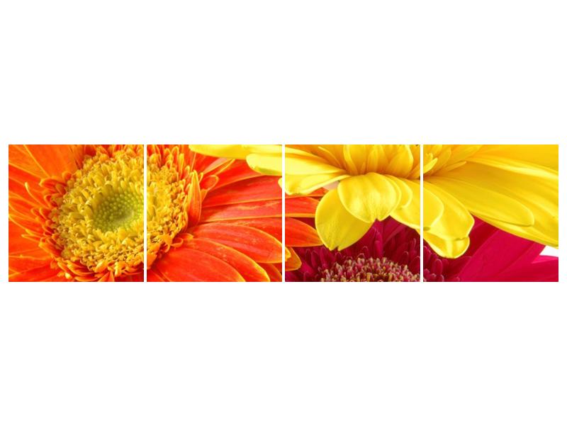 Obraz květin (F000514F16040)